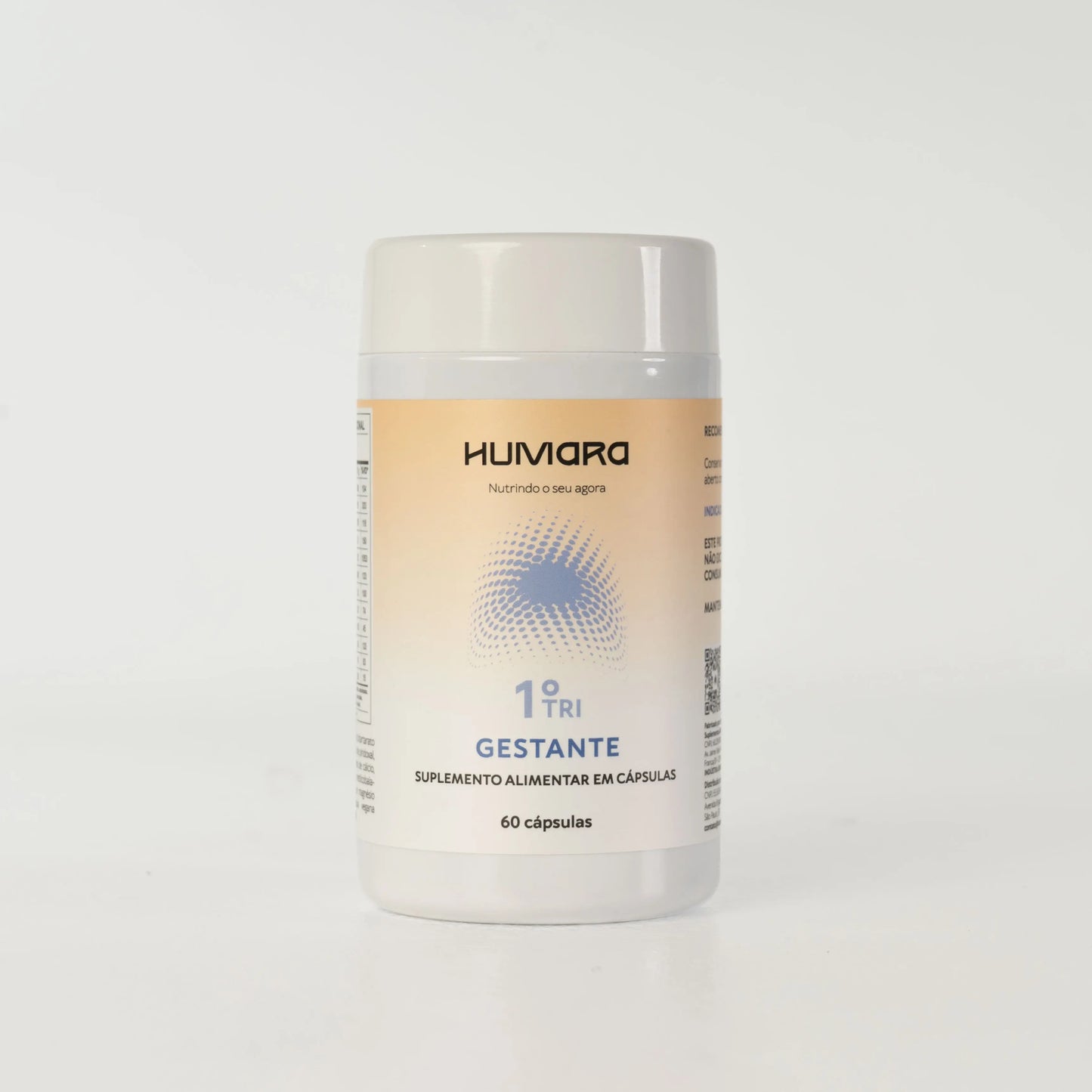 Gestante 1º Trimestre